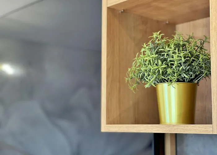 Apartment Punta By Interhome